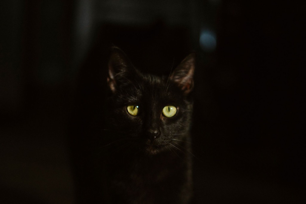 The Hidden Meanings Behind 10 Common Superstitions