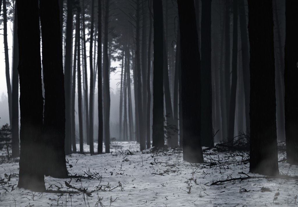 The Darker Original Versions of 7 Beloved Fairy Tales